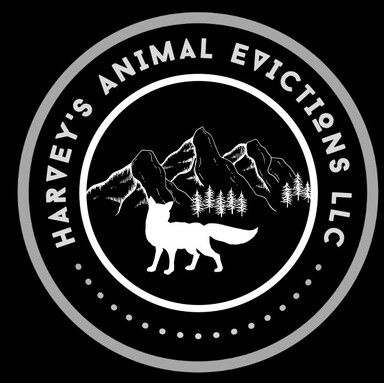 Harvey's Animal Evictions